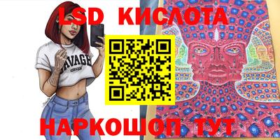 индика Гусь-Хрустальный