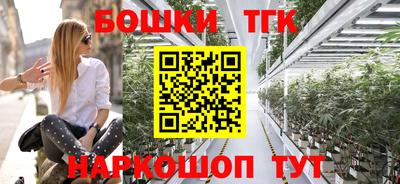 индика Гусь-Хрустальный