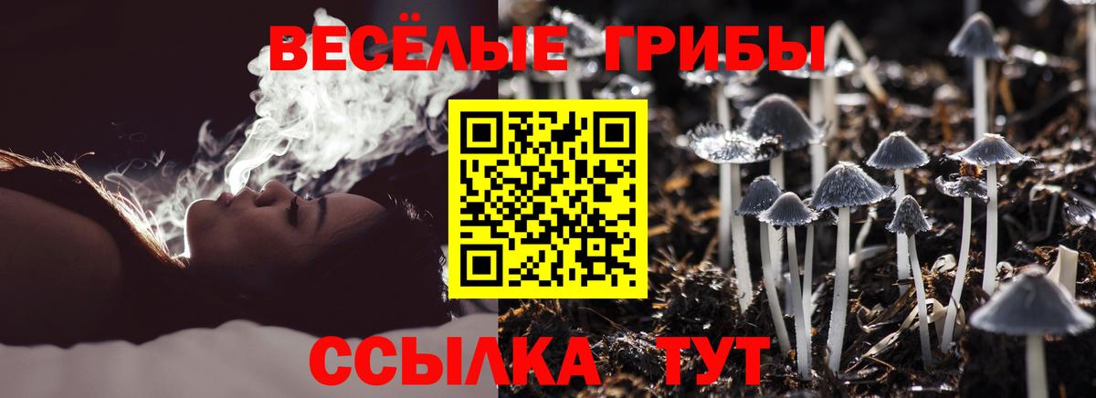 Галлюциногенные грибы MAGIC MUSHROOMS  где купить наркоту  Вход с VPN  Мытищи  Псилоцибиновые грибы Psilocybine cubensis 